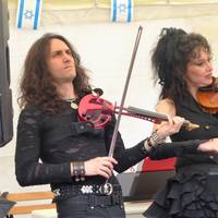Dancing Violins 2